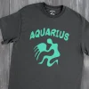 Naif Zodiac Aquarius Gildan 5000 Detail Front Dark Heather