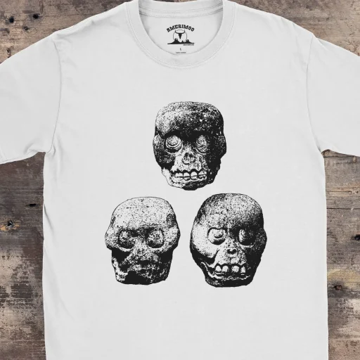 Mayan Ritual Skulls Gildan 64000 Detail Front White